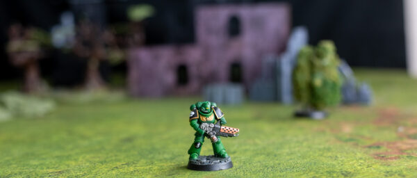 Miniature Painting Services by Logan - Image 6
